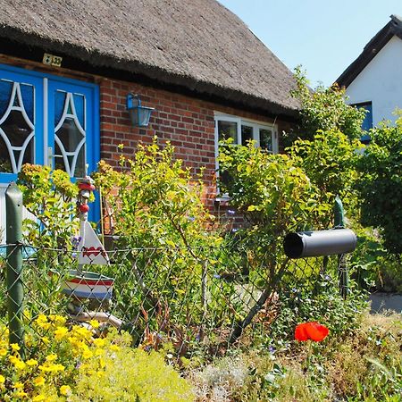 Moderne Ferienwohnung Mit Gartennutzung - Haus Inselwind Fewo Meerbucht Groß Zicker Extérieur photo
